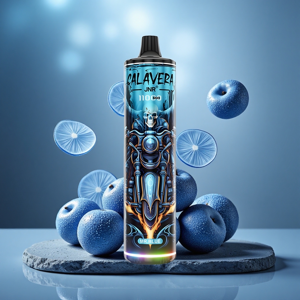 JNR Calavera 11000 Puffs 850mAh Disposable Vape Mr Blue