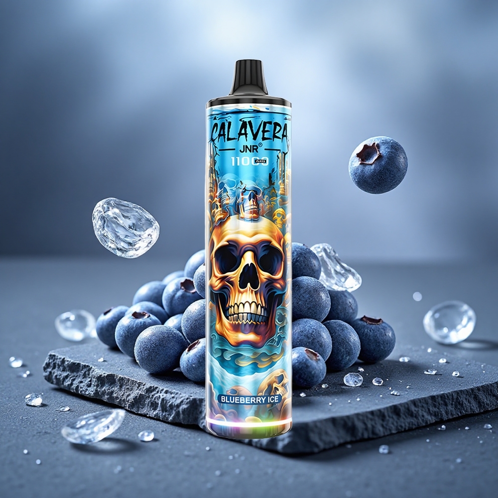 JNR Calavera 11000 Puffs Disposable Vape Blueberry Ice 850mAh Type-C