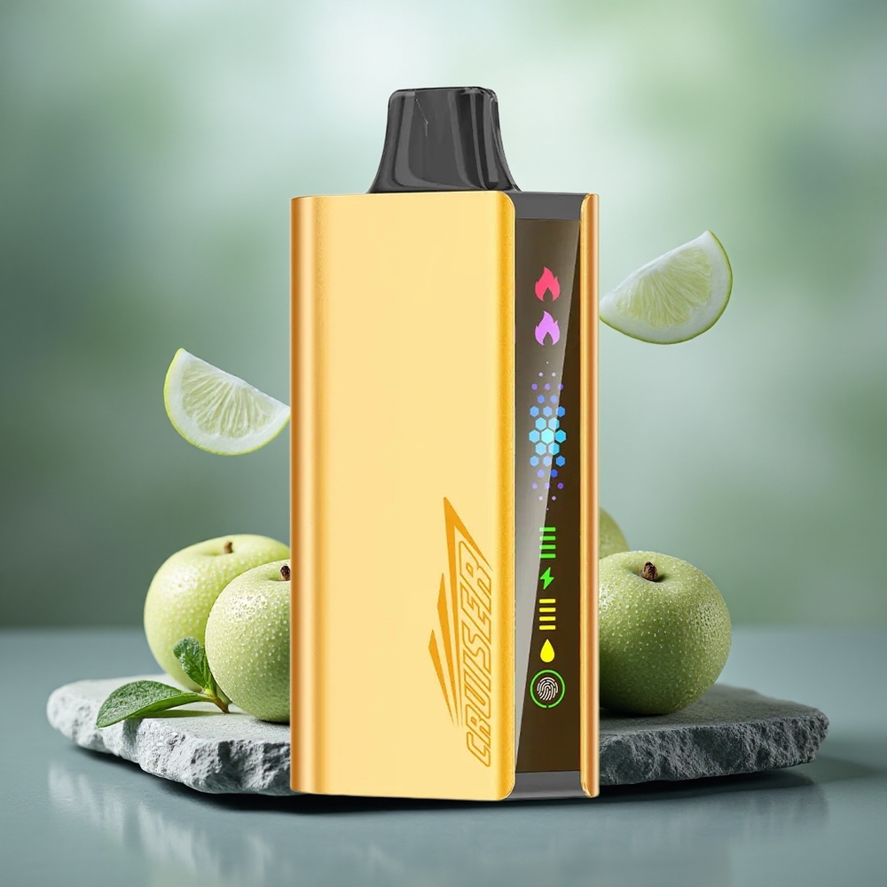 JNR Cruiser 12000 Puffs Built-in 3500mAh Disposable Vape Cool Mint