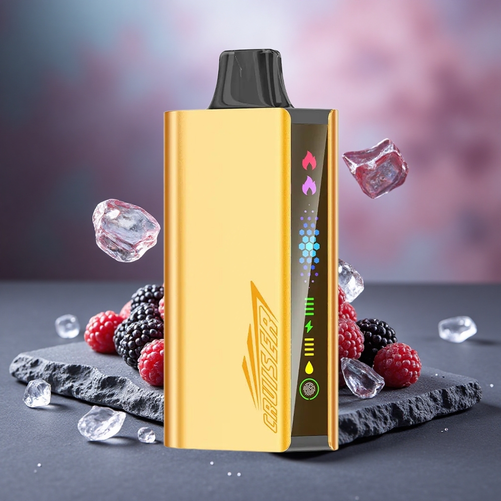 JNR Cruiser 12000 Puffs Built-in Battery Disposable Vape Blackberry Ice