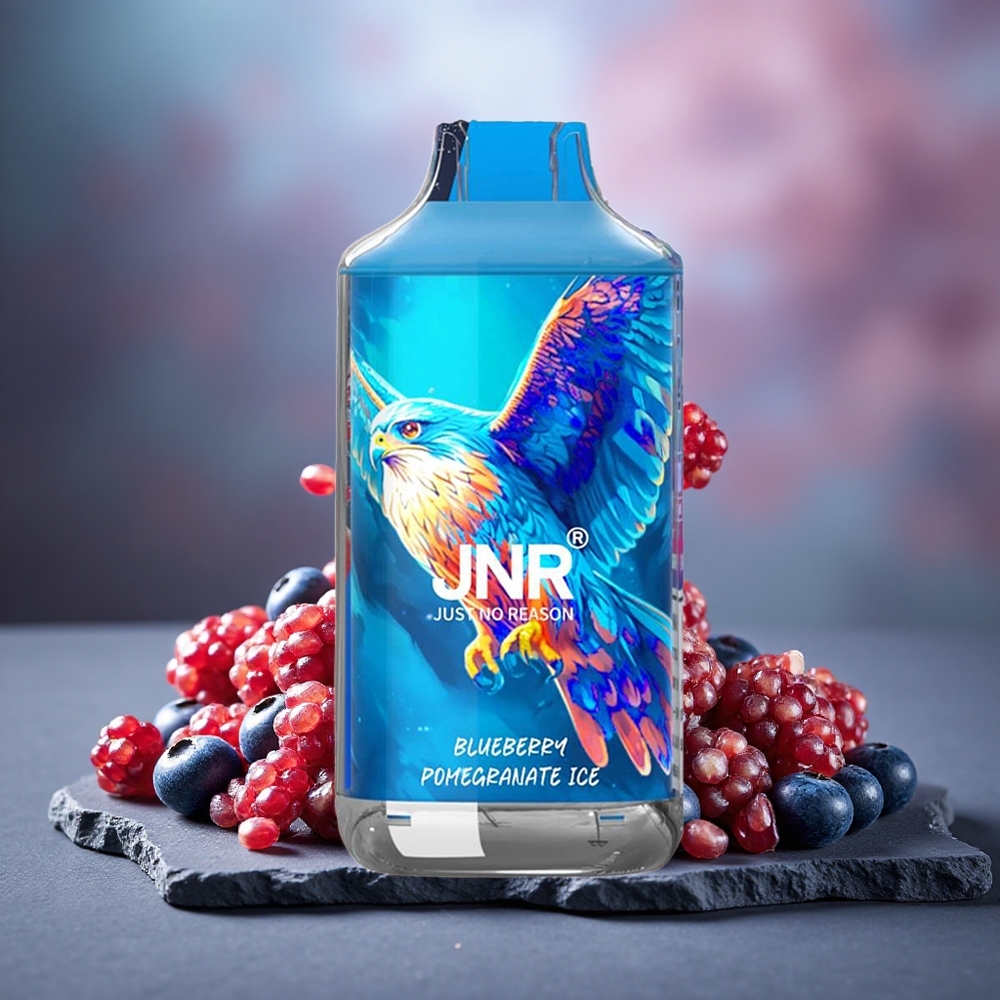 JNR Falcon 16000 Puffs 22ml Blueberry Pomegranate Ice Disposable Vape