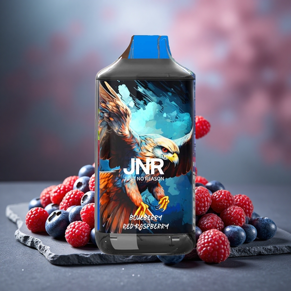 JNR Falcon 16000 Puffs 22ml Blueberry Red Raspberry Dual Mesh Disposable Vape