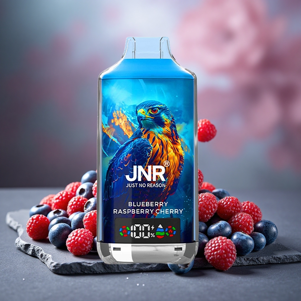 JNR Falcon X 18000 Puffs 24ml Dual Mesh Disposable Vape Blueberry Raspberry Cherry