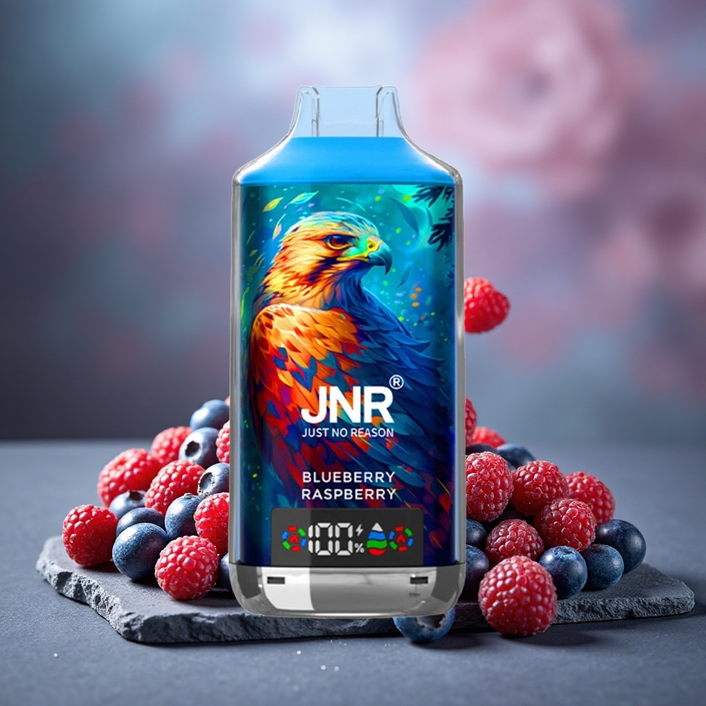 JNR Falcon X 18000 Puffs 24ml Dual Mesh Disposable Vape Blueberry Raspberry