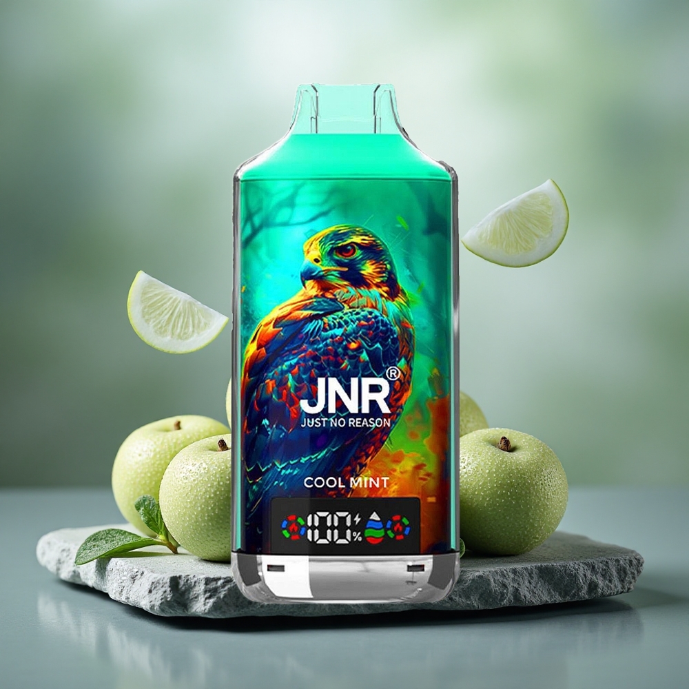 JNR Falcon X 18000 Puffs Dual Mesh Cool Mint Disposable Vape