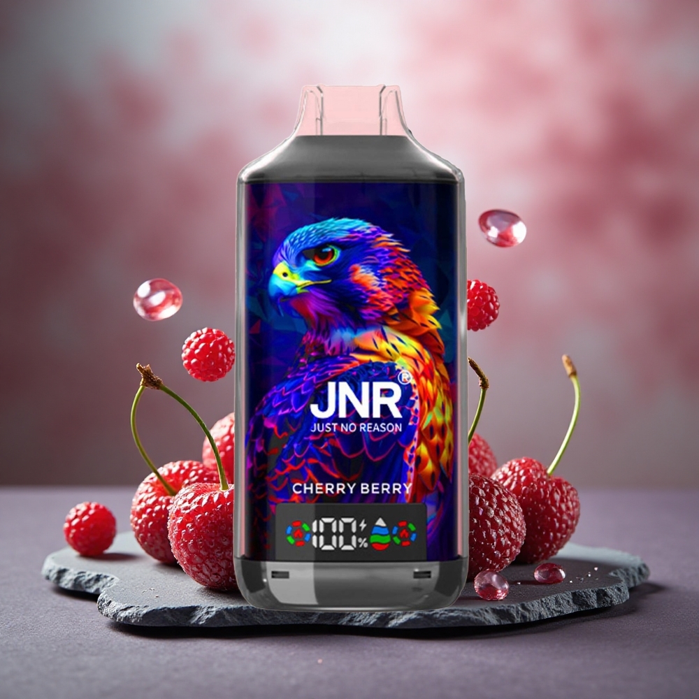 JNR Falcon X 18000 Puffs Dual Mesh Disposable Vape Cherry Berry