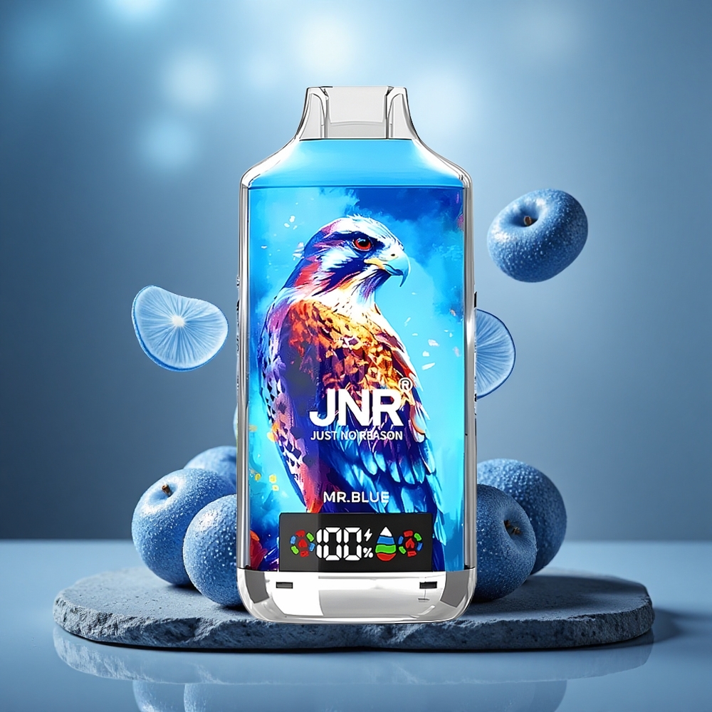 JNR Falcon X 18000 Puffs Dual Mesh Disposable Vape Mr. Blue