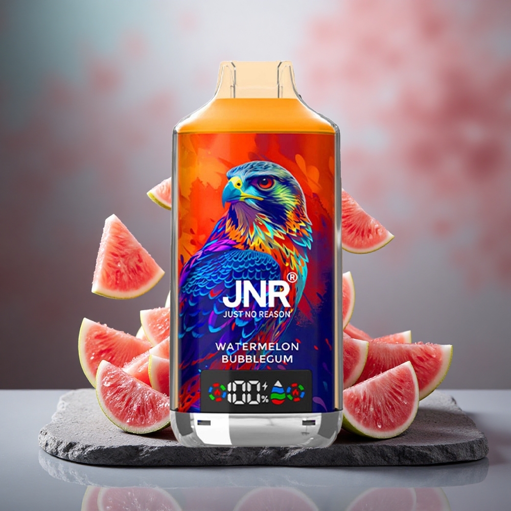 JNR Falcon X 18000 Puffs Dual Mesh Disposable Vape Watermelon Bubblegum