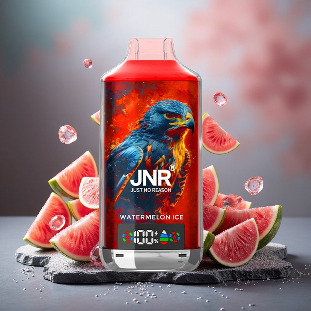 JNR Falcon X 18000 Puffs Dual Mesh Disposable Vape Watermelon Ice