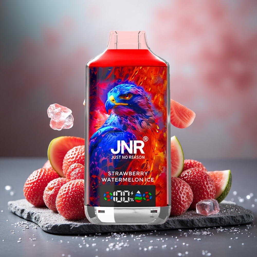 JNR Falcon X 18000 Puffs Dual Mesh Strawberry Watermelon Ice Disposable Vape