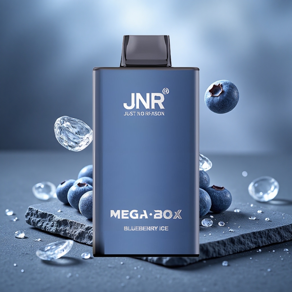 JNR Mega Box 25000 Puffs Dual Mesh Disposable Vape Blueberry Ice