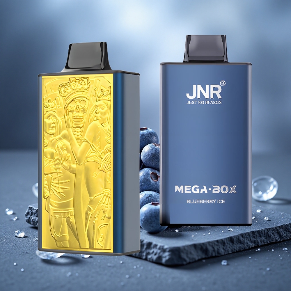 JNR Mega Box 25000 Puffs Dual Mesh Disposable Vape Blueberry Ice