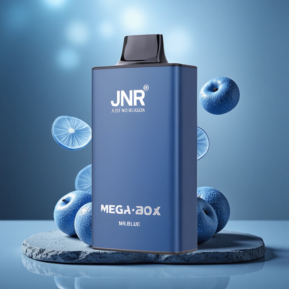 JNR Mega Box 25000 Puffs Dual Mesh Disposable Vape Mr Blue