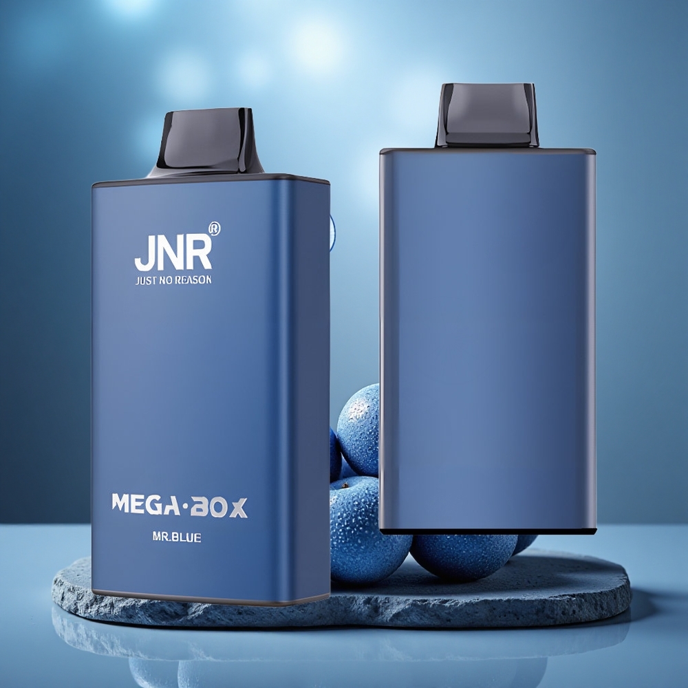 JNR Mega Box 25000 Puffs Dual Mesh Disposable Vape Mr Blue