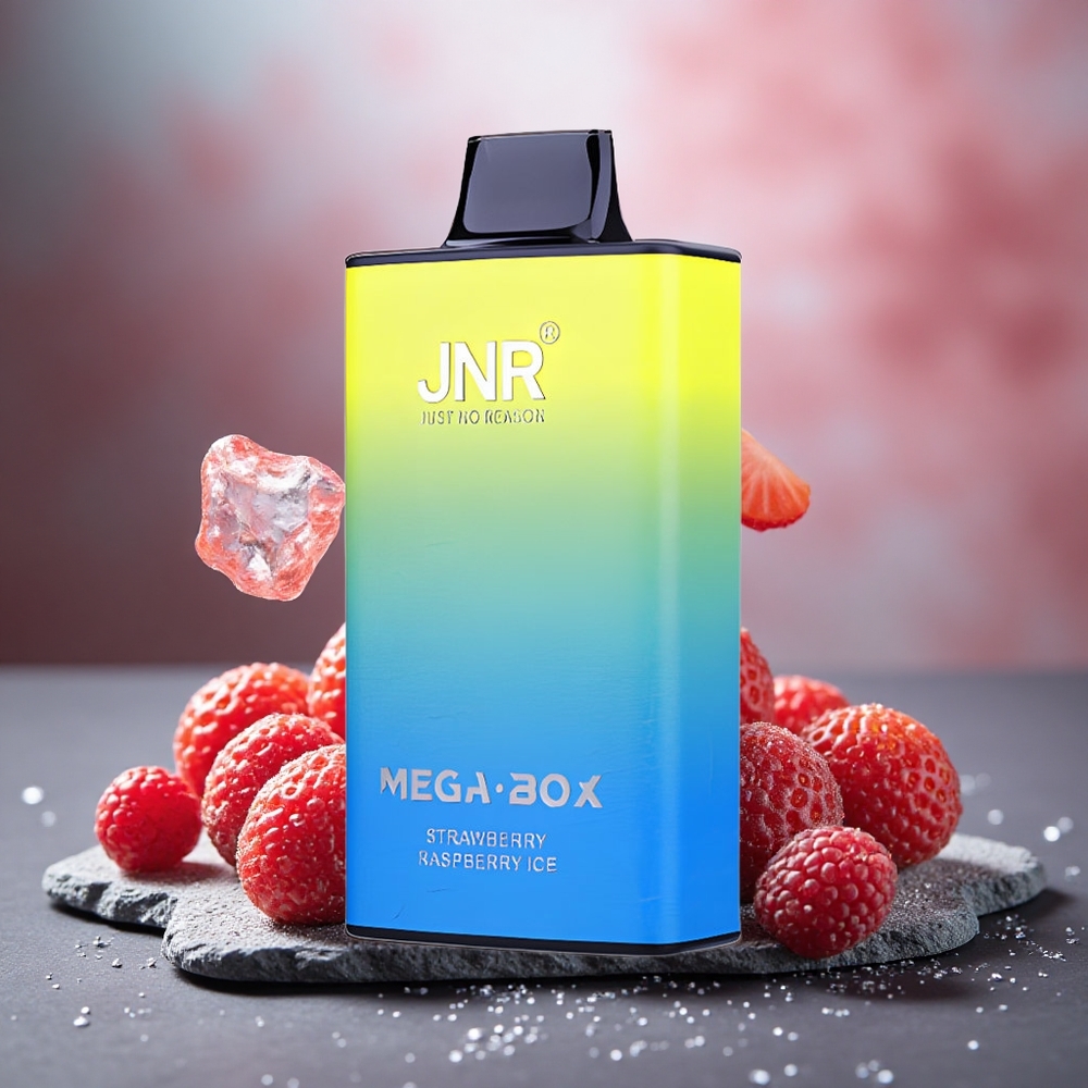 JNR Mega Box 25000 Puffs Dual Mesh Disposable Vape Strawberry Raspberry Ice