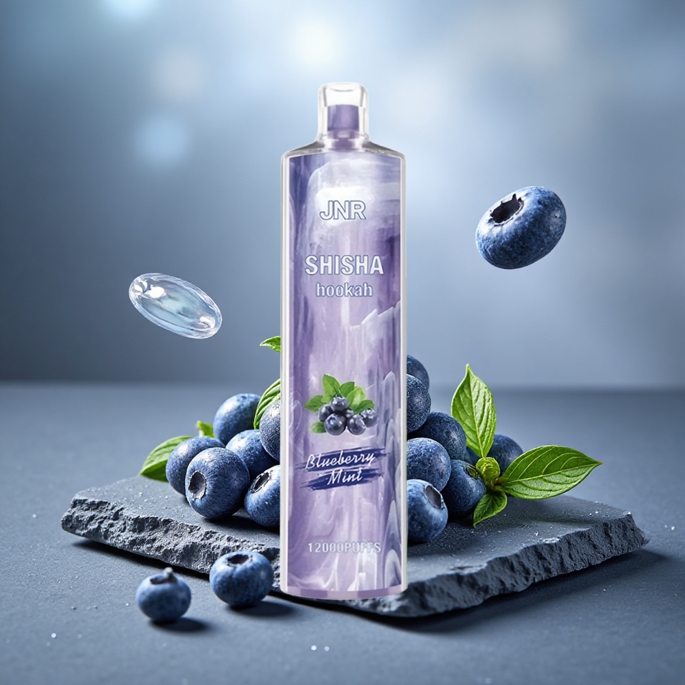 JNR Shisha Hookah 12000 Puffs 24ml Blueberry Mint Disposable Vape