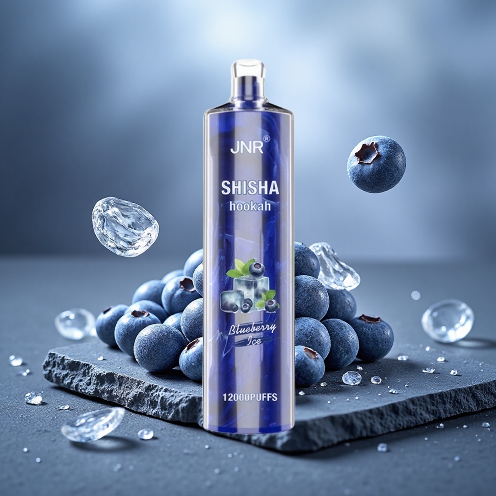 JNR Shisha Hookah 12000 Puffs Disposable Vape Blueberry Ice 24ml Type-C