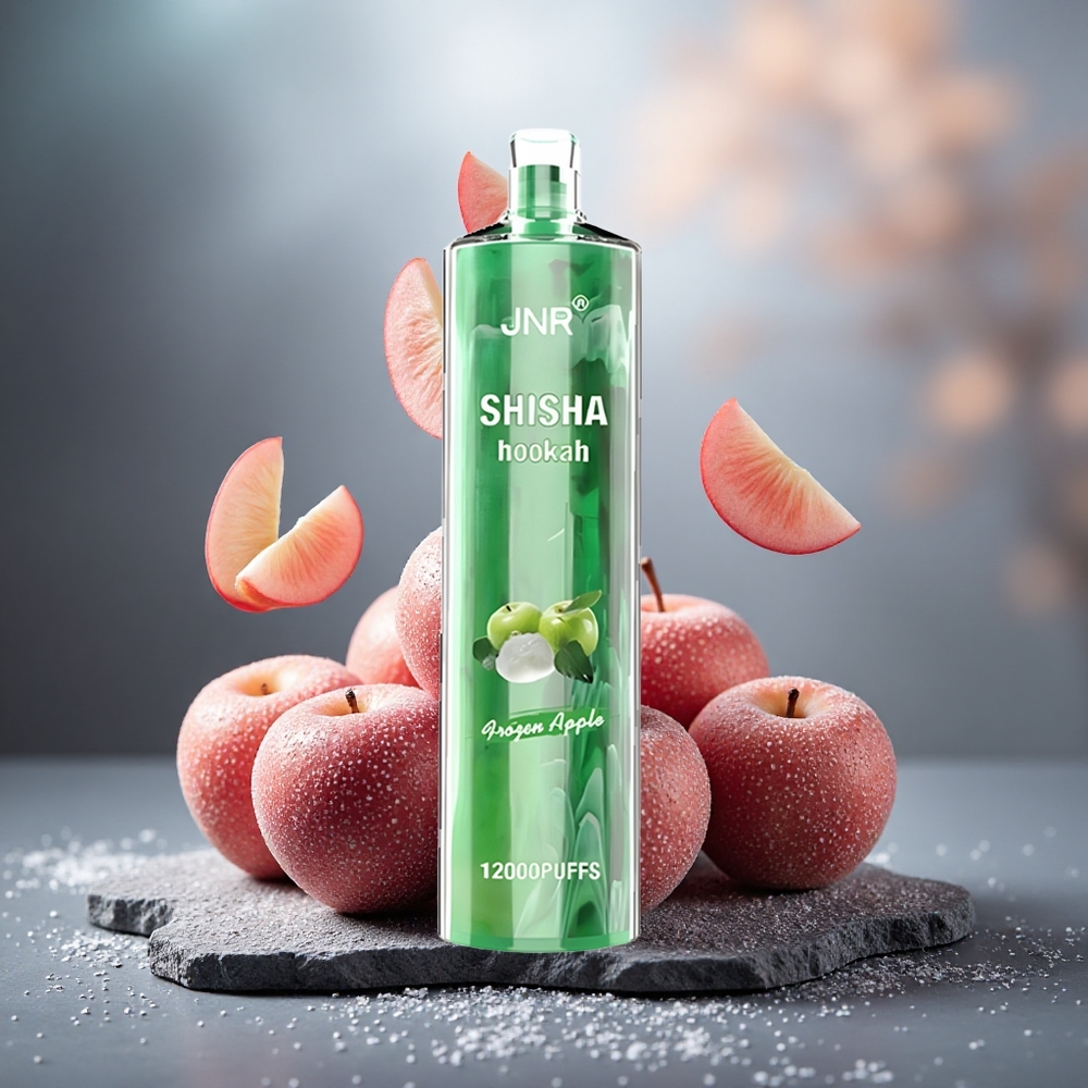 JNR Shisha Hookah 12000 Puffs Disposable Vape Frozen Apple 24ml Type-C