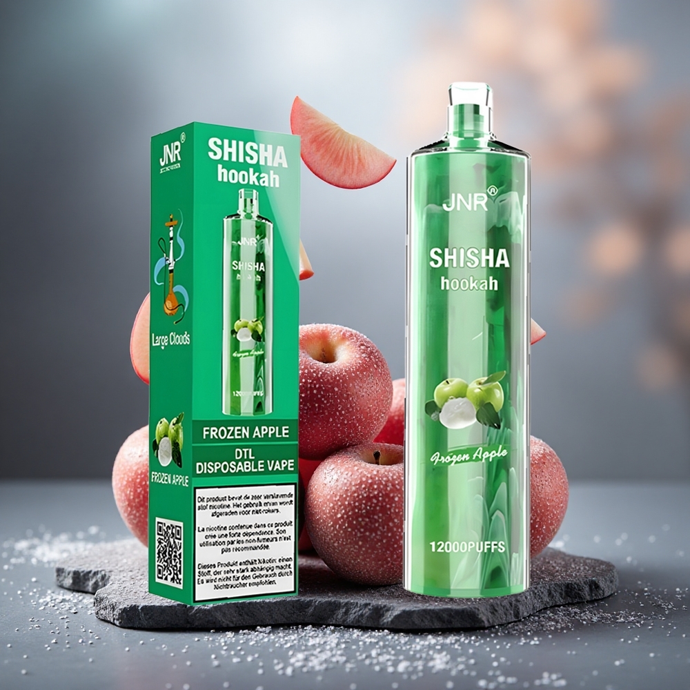 JNR Shisha Hookah 12000 Puffs Disposable Vape Frozen Apple 24ml Type-C