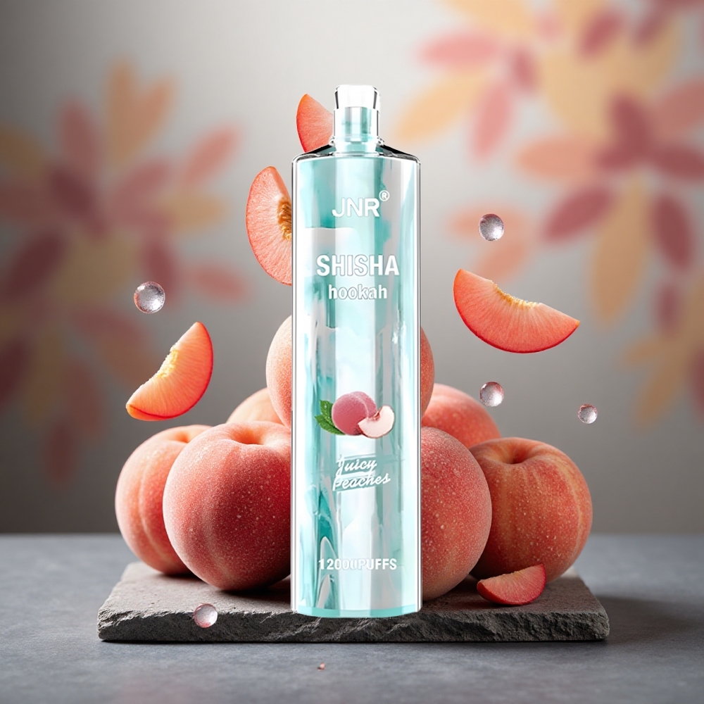 JNR Shisha Hookah 12000 Puffs Disposable Vape Juicy Peaches 24ml Type-C