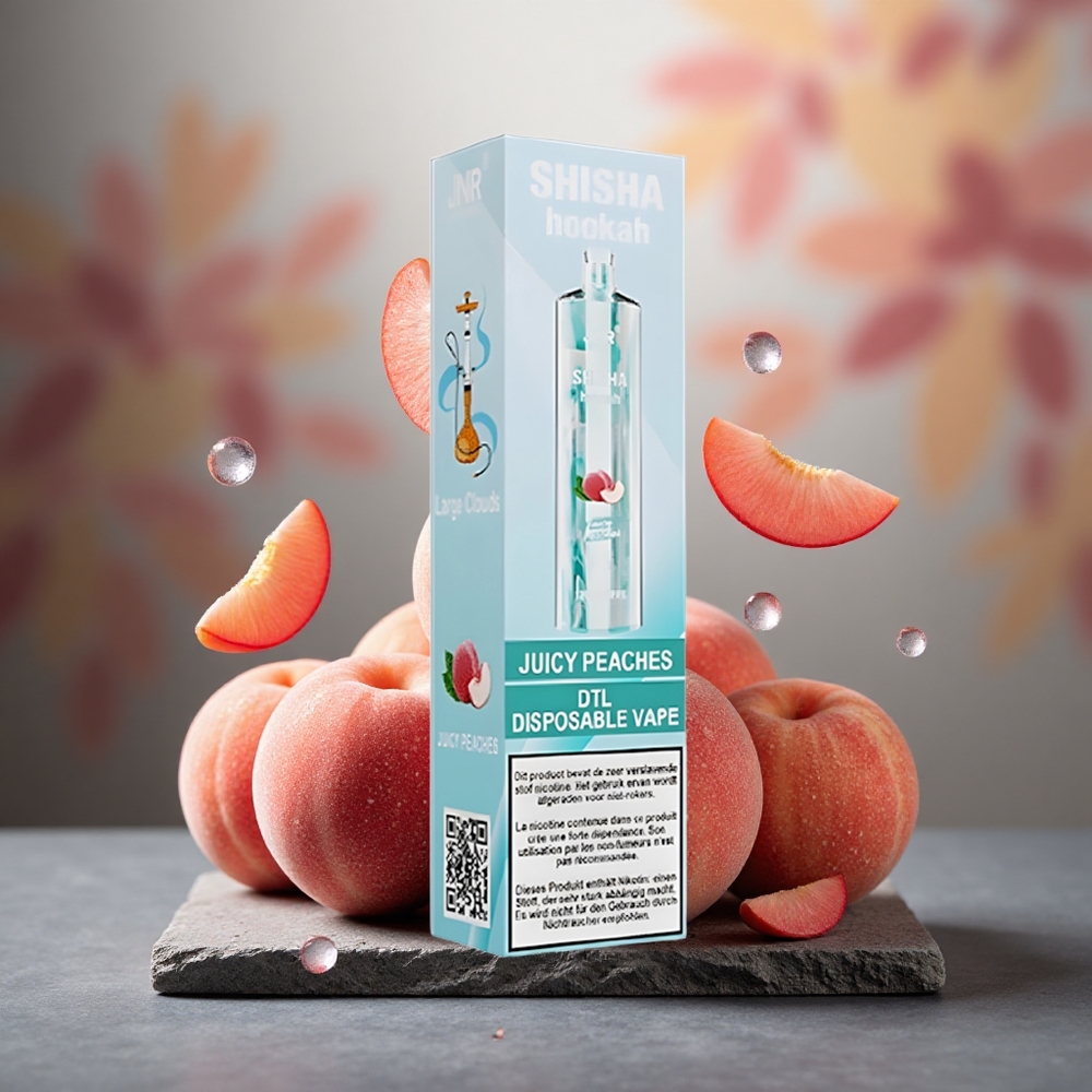 JNR Shisha Hookah 12000 Puffs Disposable Vape Juicy Peaches 24ml Type-C