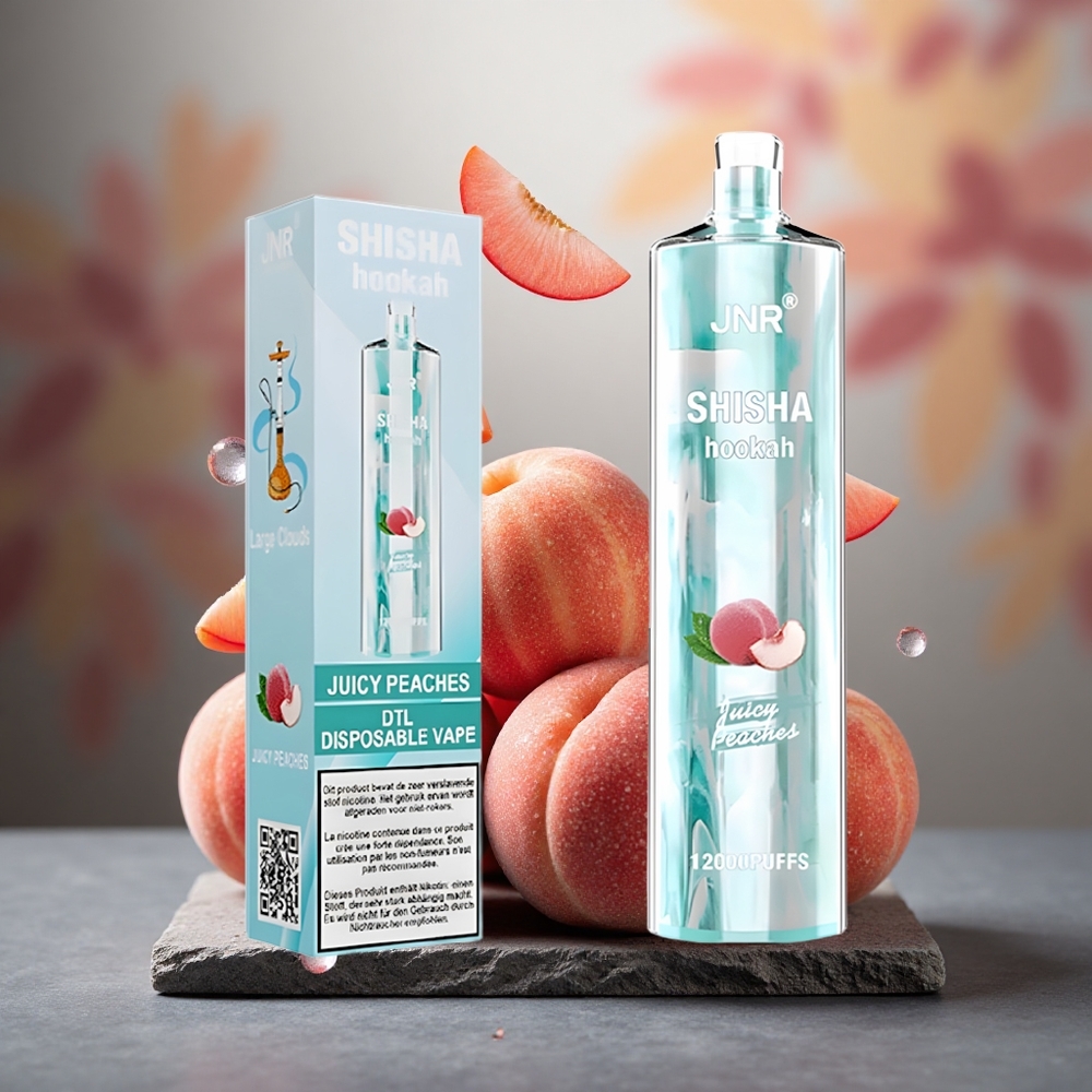 JNR Shisha Hookah 12000 Puffs Disposable Vape Juicy Peaches 24ml Type-C