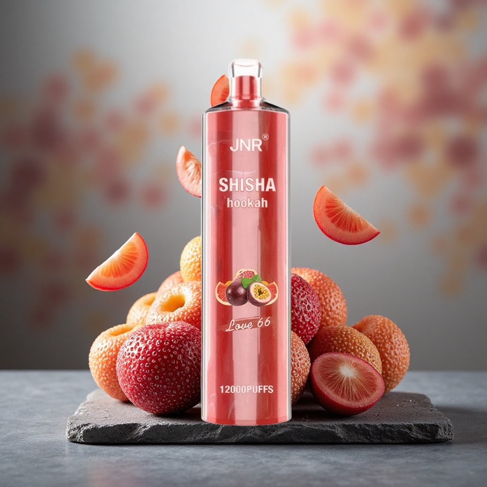 JNR Shisha Hookah 12000 Puffs Disposable Vape Love 66 24ml Type-C Fast Charging