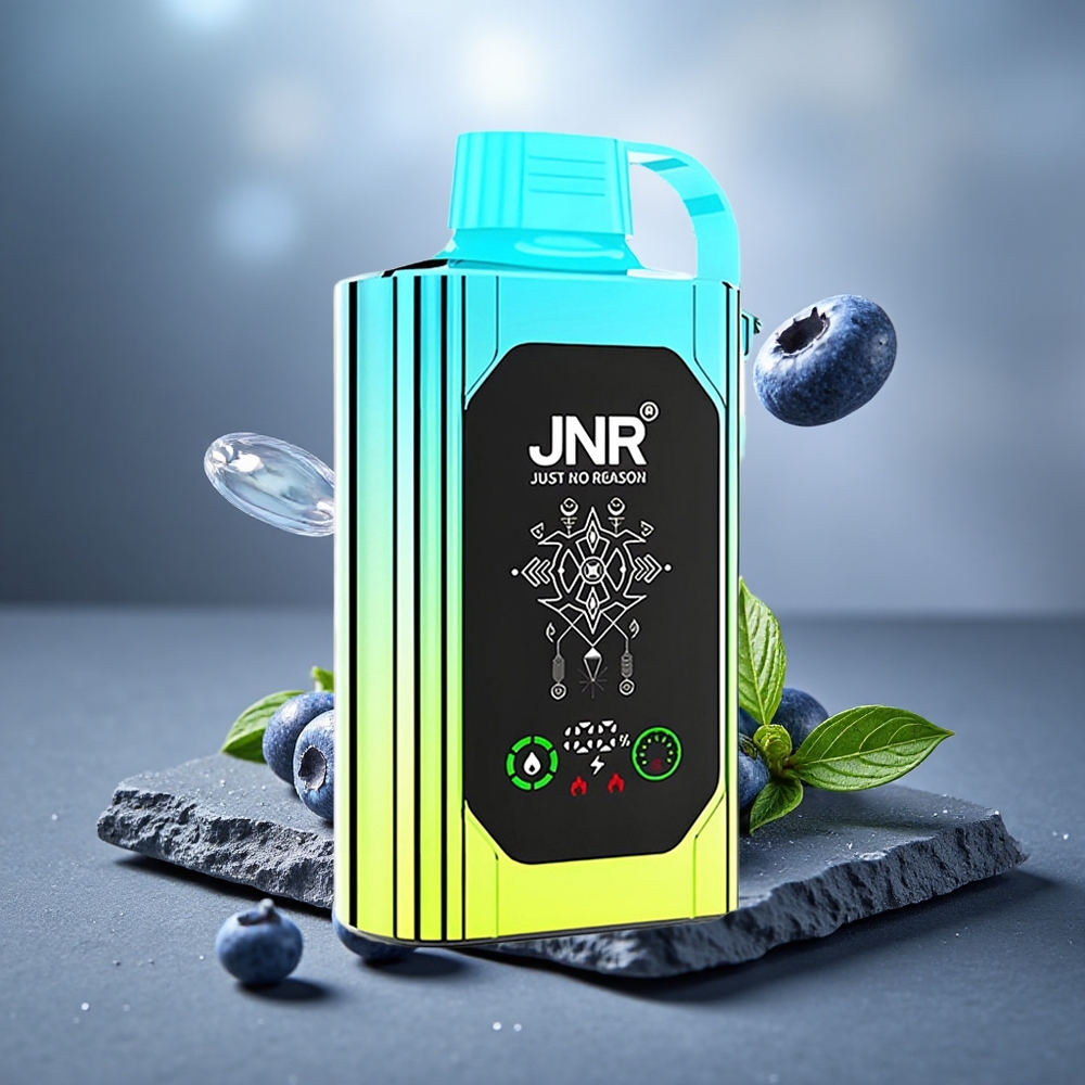 JNR Shisha Hookah Box 20500 Puffs Disposable Vape Blueberry Mint 25ml Type-C Quick Charge