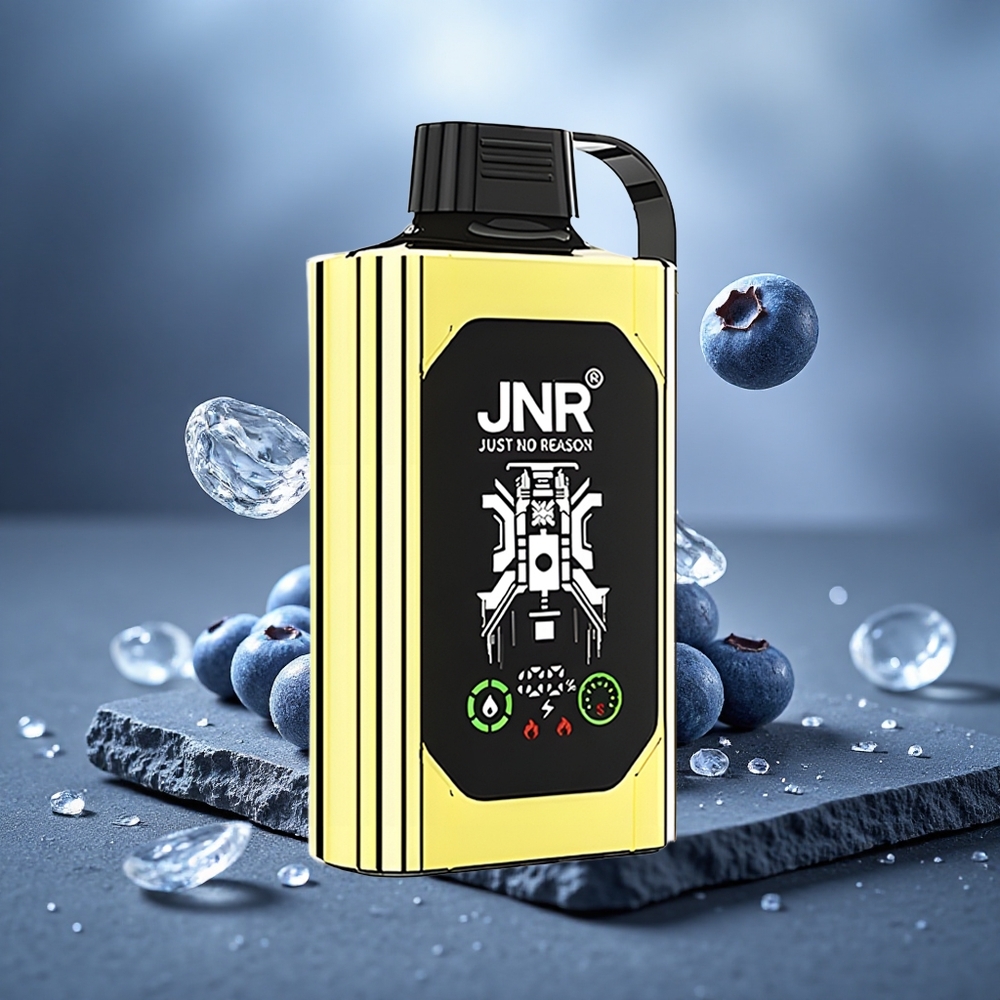 JNR Shisha Hookah Box 20500 Puffs Dual Mesh Disposable Vape Blueberry Ice