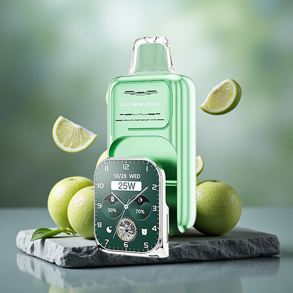 JNR VapeWatch 30000 Puffs 19mL Miami Mint Dual Mesh Disposable Vape