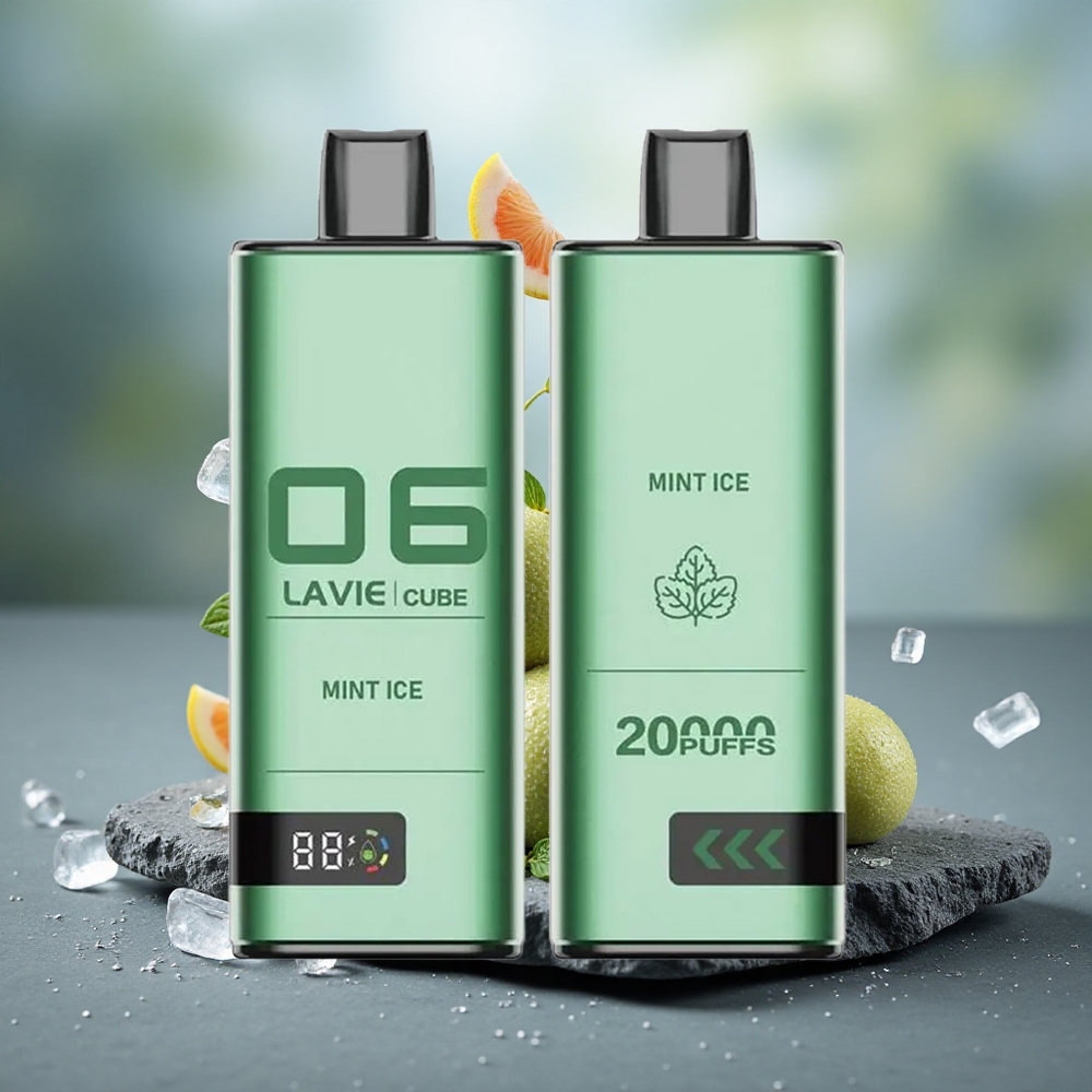 Lavie Cube 20000 Puffs Disposable Vape Mint Ice with 2% 5% Salt Nicotine