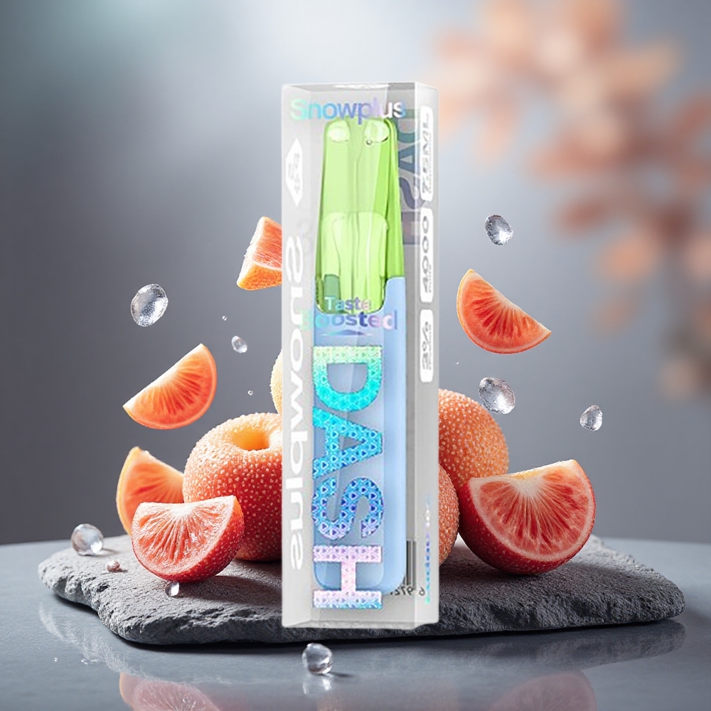 Snowplus Dash 4000 Puffs Ceramic Disposable Device Ludou Ice
