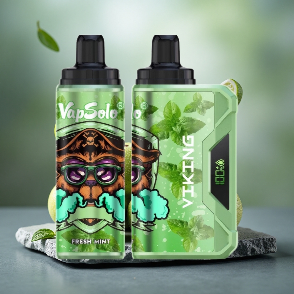 VapSolo VIKING 12000 Puffs 22ml E-Liquid Disposable Vape Fresh Mint