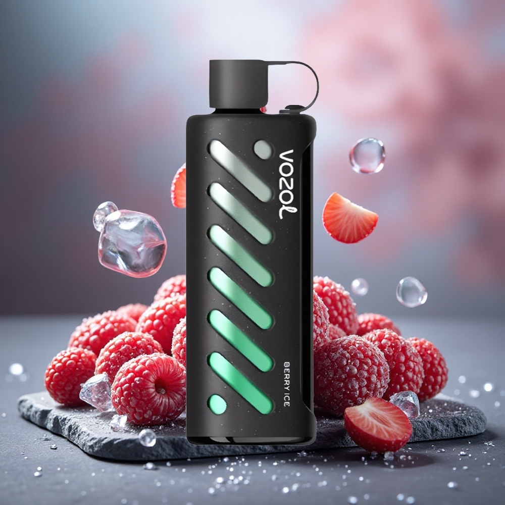 VOZOL Gear Shisha 25000 Puffs Dual Mesh Berry Ice Disposable Vape