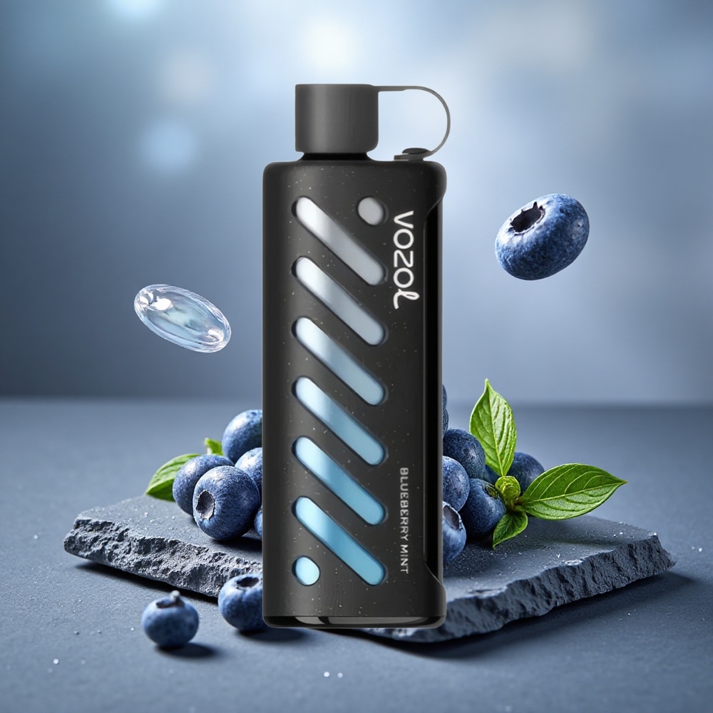 VOZOL Gear Shisha 25000 Puffs Dual Mesh Blueberry Mint Disposable Vape