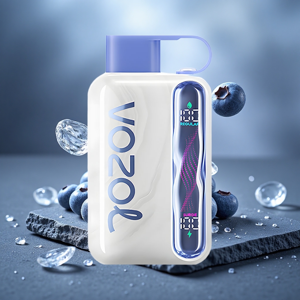 VOZOL STAR 40000 Puffs 1000mAh Disposable Vape Blueberry Ice
