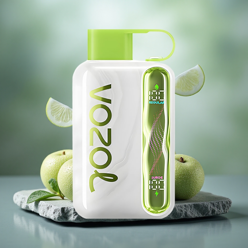 VOZOL STAR 40000 Puffs 1000mAh Disposable Vape Cool Mint