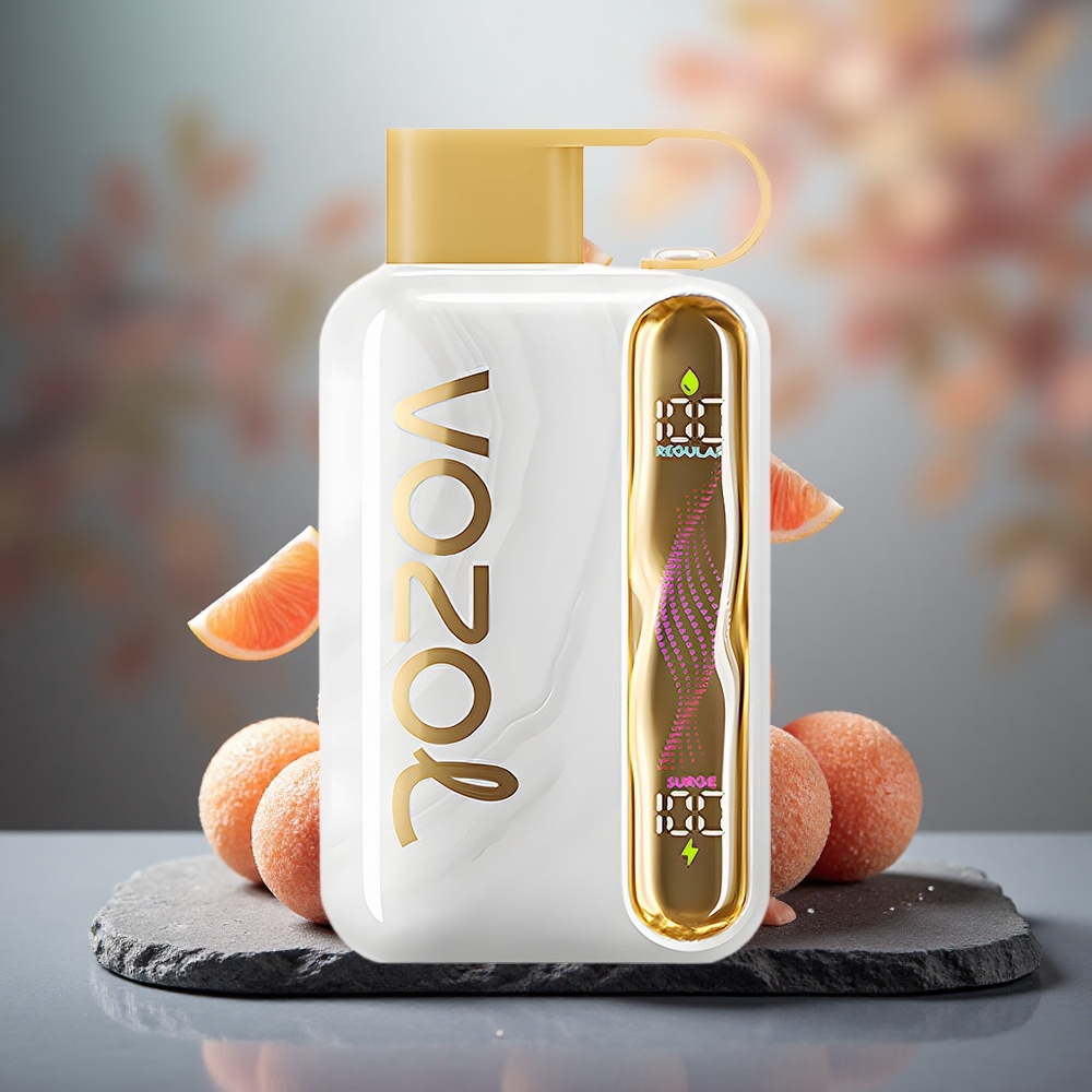 VOZOL STAR 40000 Puffs 1000mAh Disposable Vape Melon Gum