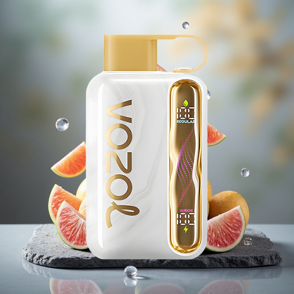 VOZOL STAR 40000 Puffs 1000mAh Disposable Vape Melon Ice