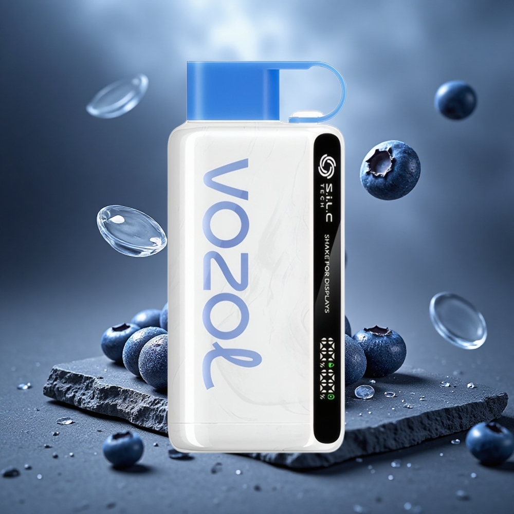 VOZOL STAR 9000/12000 Disposable Vape Blueberry Storm with 650mAh Battery