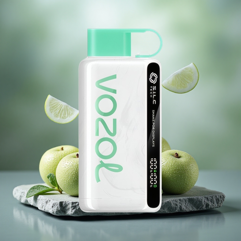 VOZOL STAR 9000/12000 Disposable Vape Cool Mint with 650mAh & Shake Display