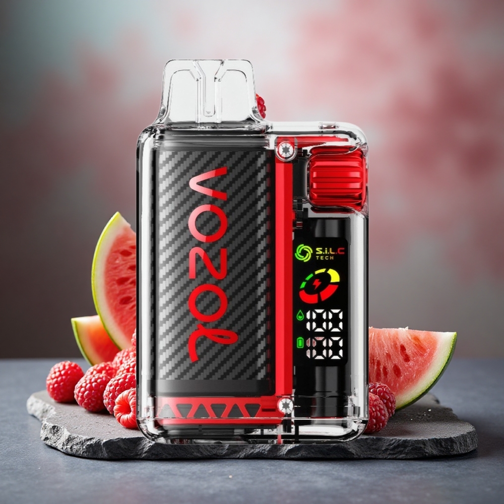 VOZOL Vista 20000 Puffs Rechargeable Disposable Vape Raspberry Watermelon with OLED Screen