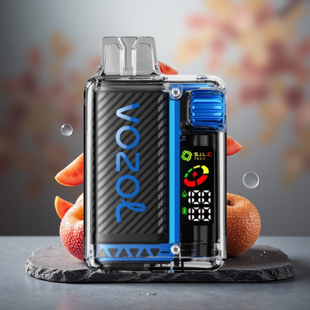 VOZOL Vista 20000 Puffs Rechargeable Disposable Vape with 650mAh Battery