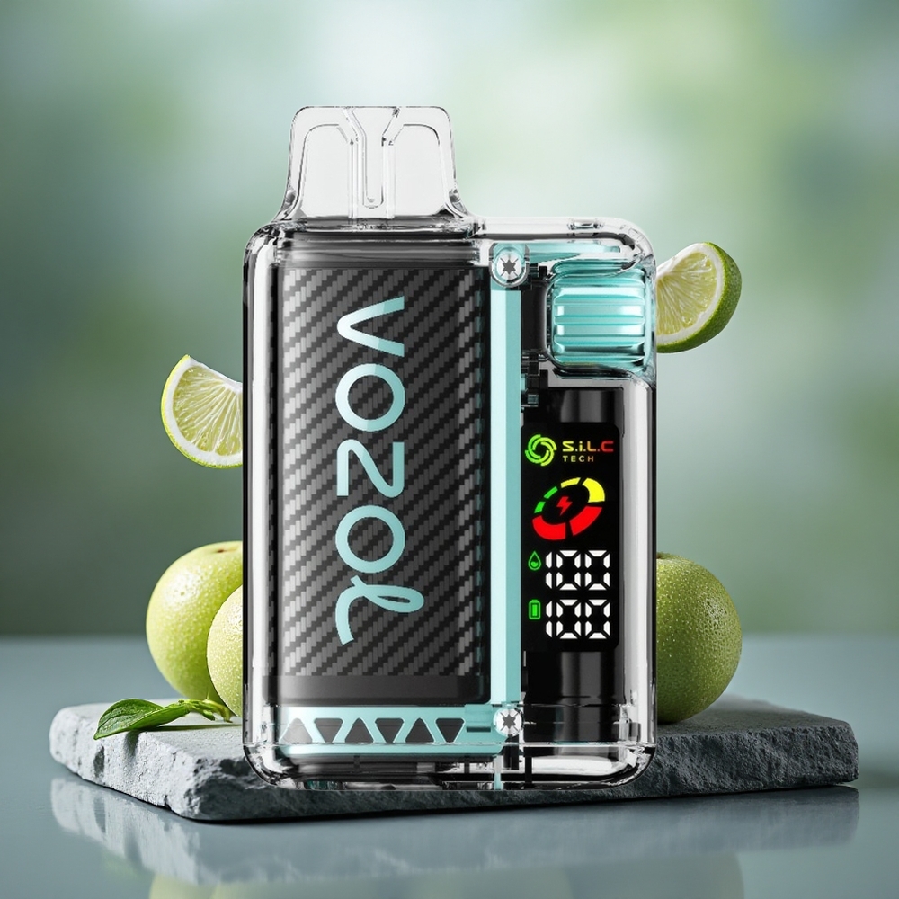 VOZOL Vista 20000 Puffs Rechargeable Miami Mint with 650mAh Battery & MTL Vaping