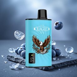 JNR EAGLE Smart 23000 Puffs Digital Screen Disposable Vape Blueberry Ice