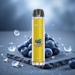 JNR Gold380 6000 Puffs 13ml Disposable Vape Blueberry On Ice