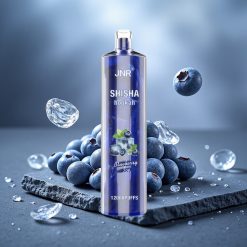 JNR Shisha Hookah 12000 Puffs Disposable Vape Blueberry Ice 24ml Type-C