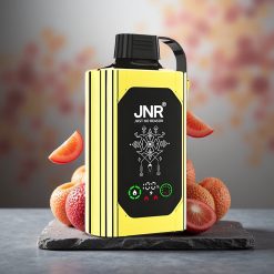 JNR Shisha Hookah Box 20500 Puffs Disposable Vape Love 66 Dual Mesh 25ml
