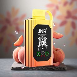 JNR Shisha Hookah Box 20500 Puffs Dual Mesh Juicy Peaches