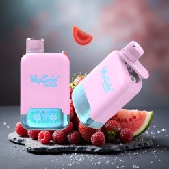 Vapsolo Twins 20000 Puffs Dual Tank Disposable Vape Black Ice Dragon Fruit Strawberry Raspberry